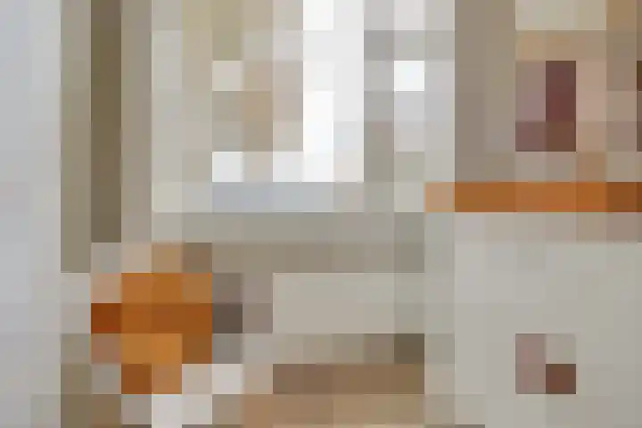 Asschatterweg 137 Leusden thumbnail 21