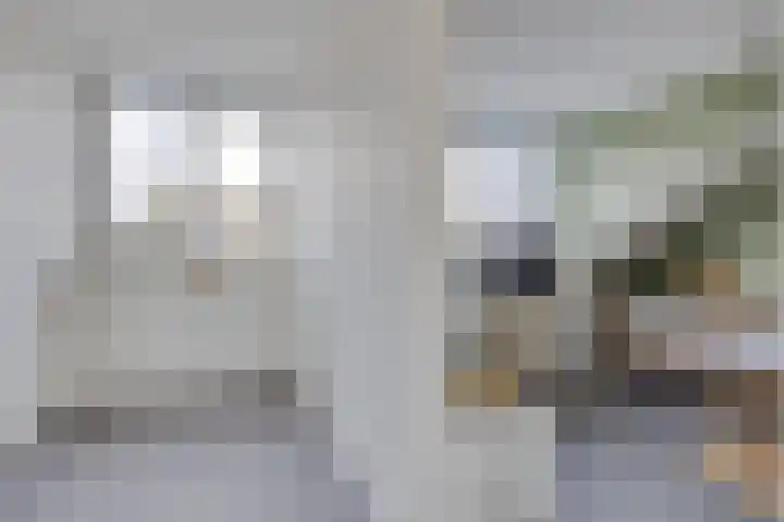 Asschatterweg 137 Leusden thumbnail 24