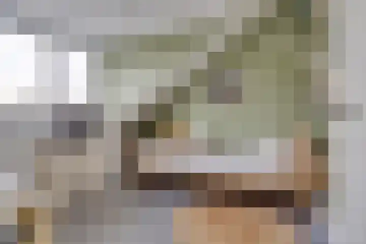 Asschatterweg 137 Leusden thumbnail 25