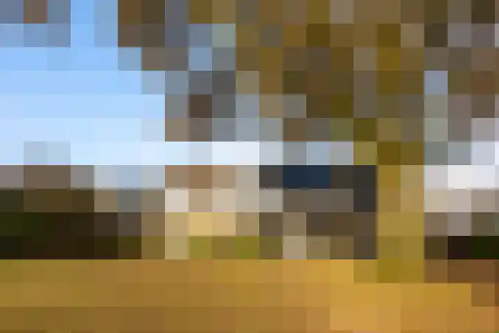 Asschatterweg 137 Leusden thumbnail 27