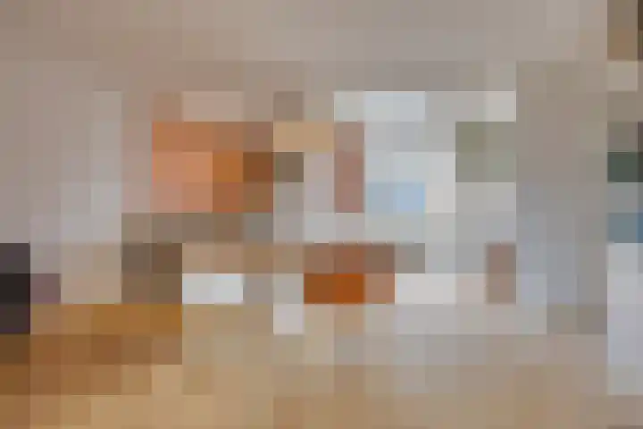 Asschatterweg 137 Leusden thumbnail 4