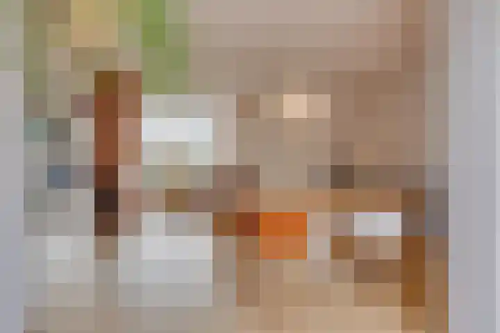 Asschatterweg 137 Leusden thumbnail 8