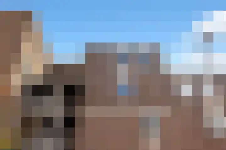 Asschatterweg 52 Leusden thumbnail 12