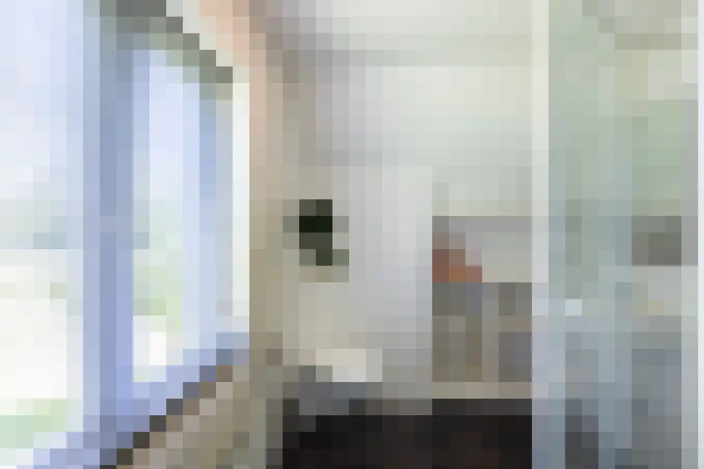 Asschatterweg 52 Leusden thumbnail 26