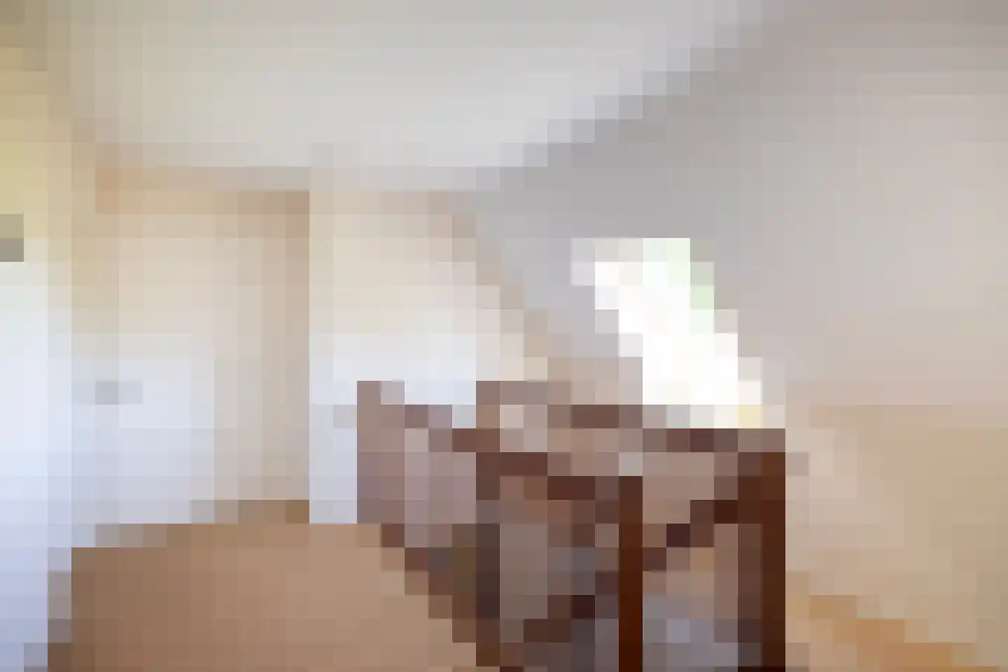 Asschatterweg 52 Leusden thumbnail 28