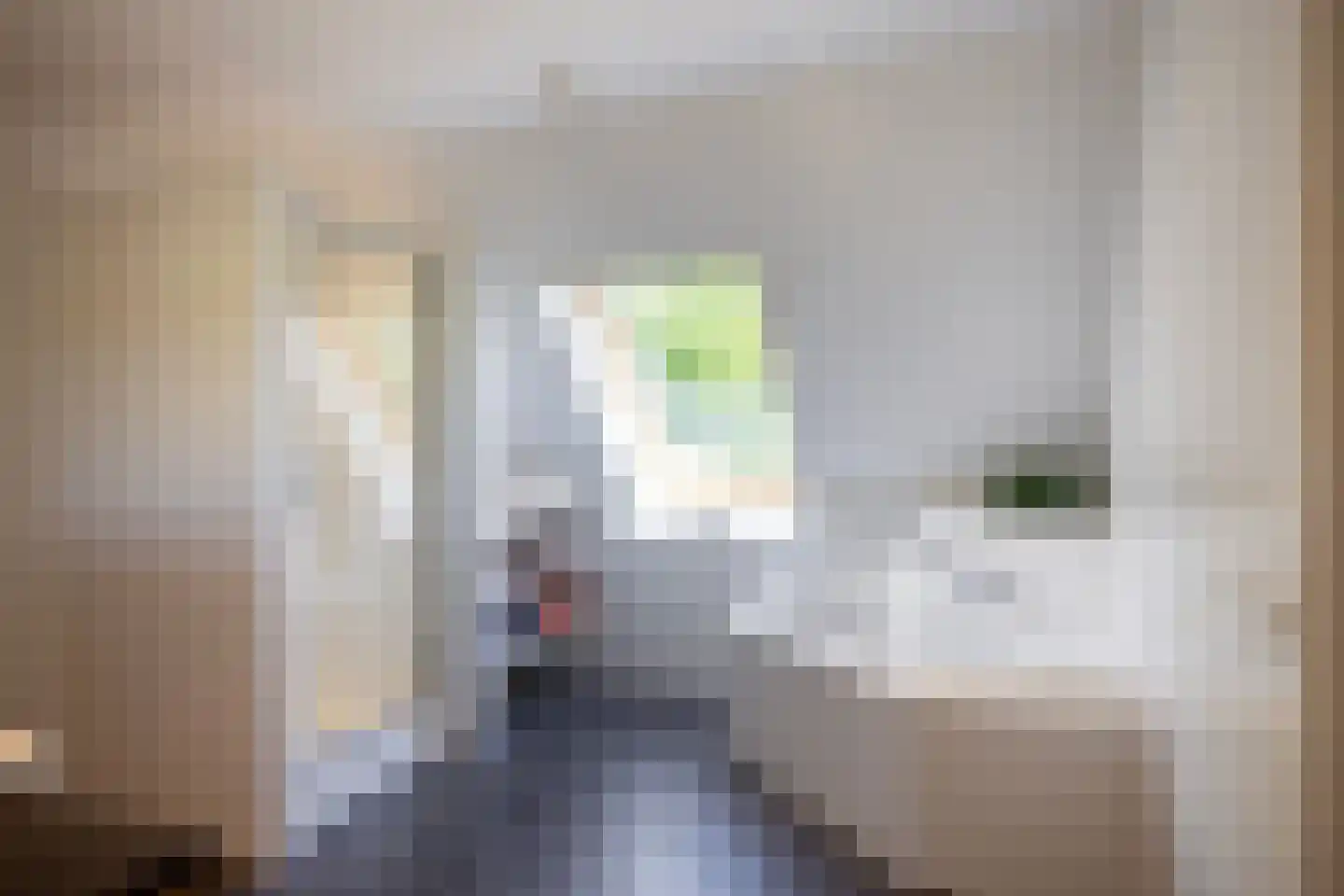 Asschatterweg 52 Leusden thumbnail 32