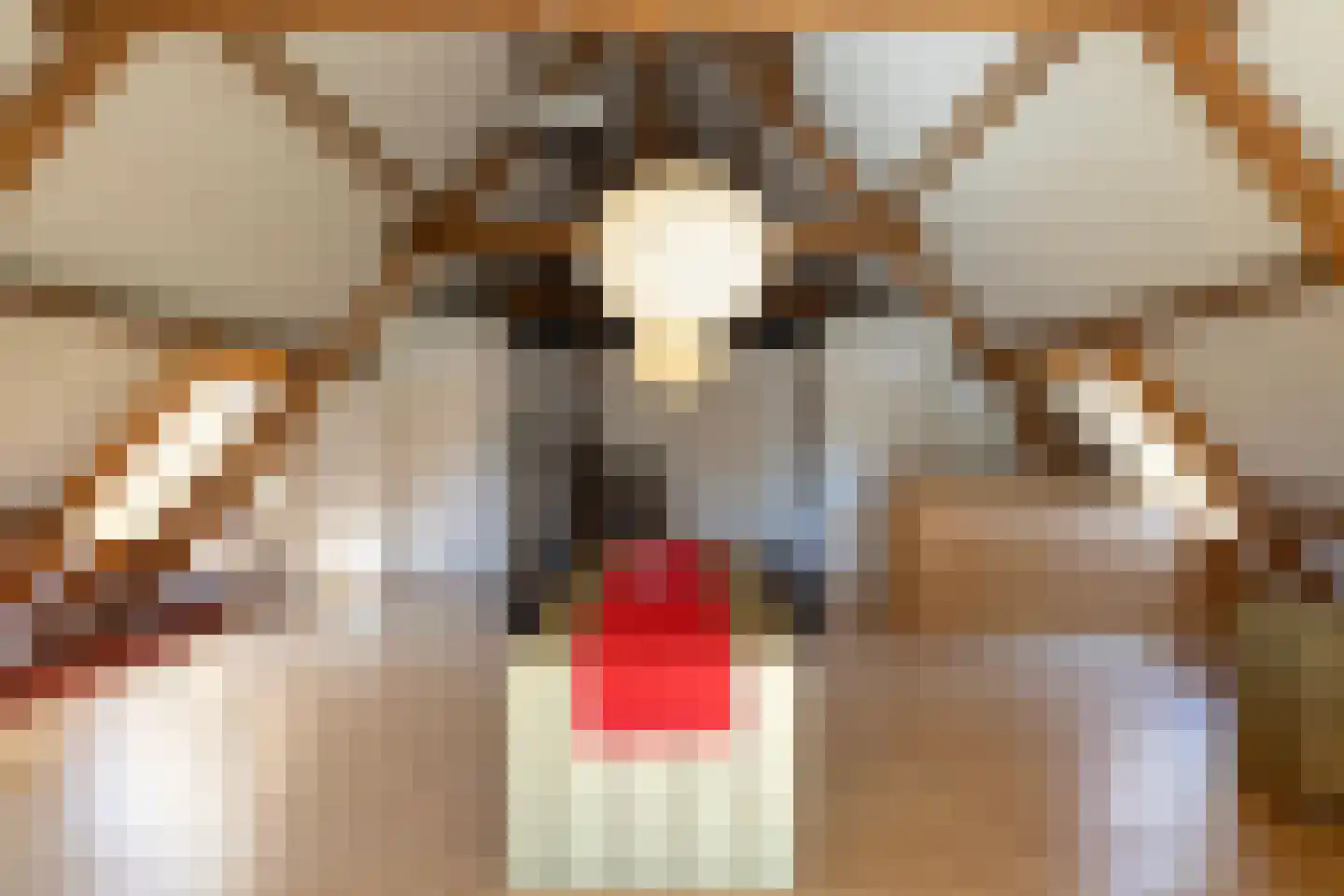 Asschatterweg 52 Leusden thumbnail 33