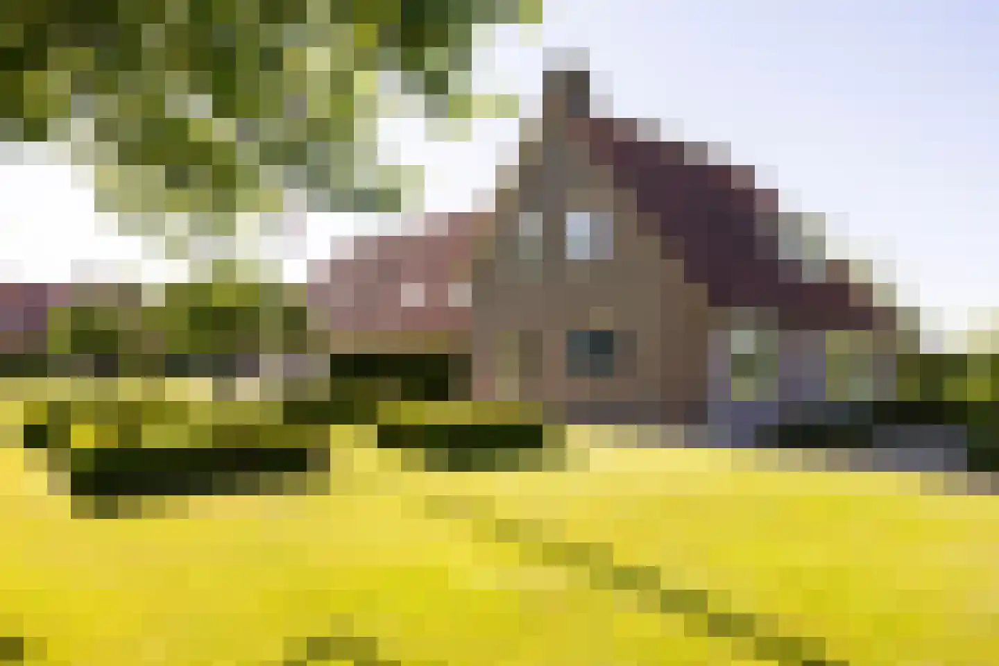 Asschatterweg 52 Leusden thumbnail 39