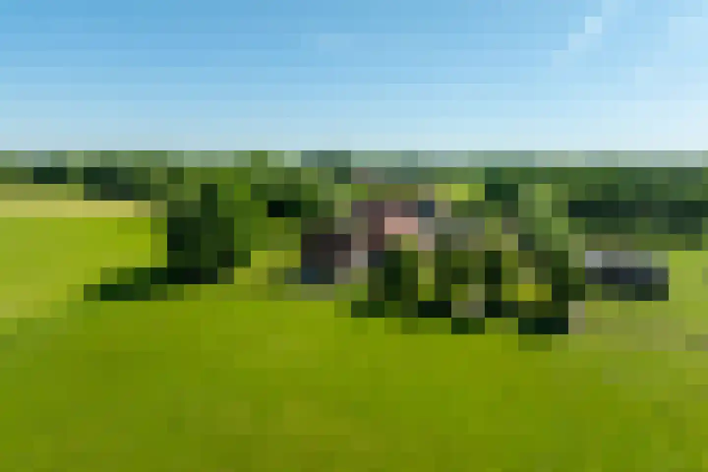 Asschatterweg 52 Leusden thumbnail 4