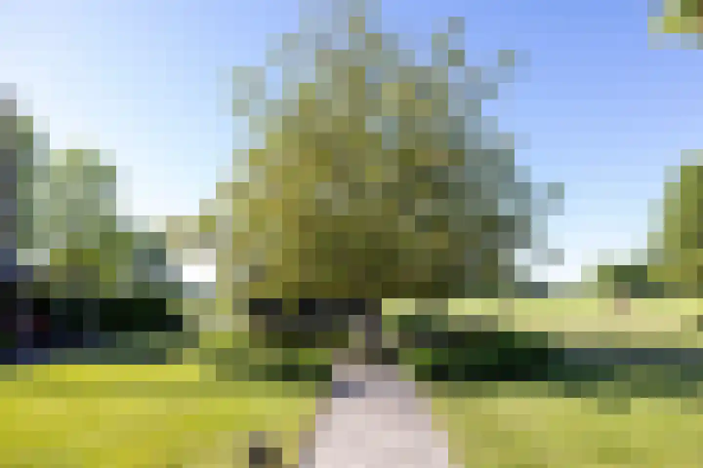 Asschatterweg 52 Leusden thumbnail 41
