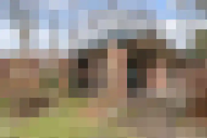 Asschatterweg 52 Leusden thumbnail 43