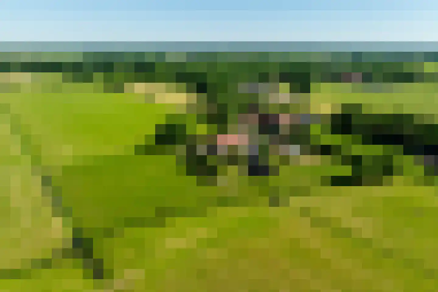 Asschatterweg 52 Leusden thumbnail 45