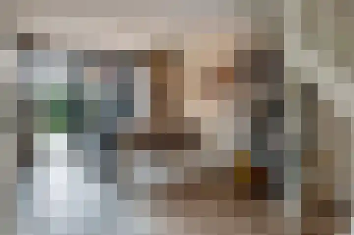 Asschatterweg 52 Leusden thumbnail 46