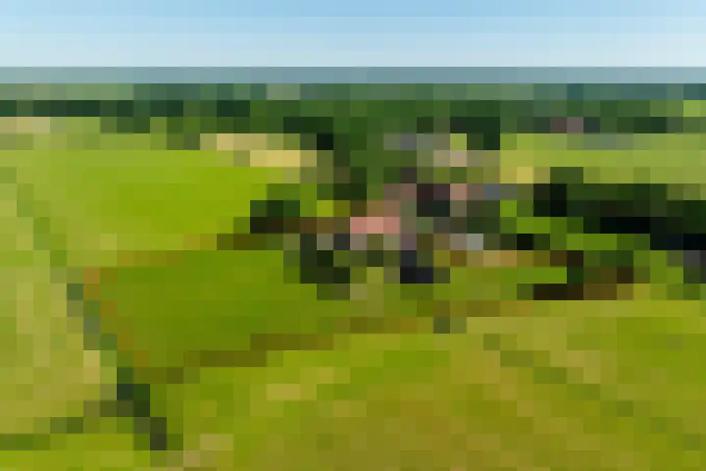 Asschatterweg 52 Leusden thumbnail 5