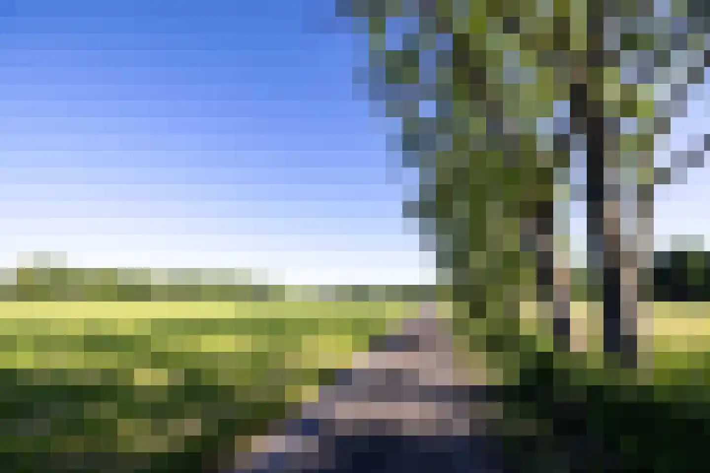 Asschatterweg 52 Leusden thumbnail 8