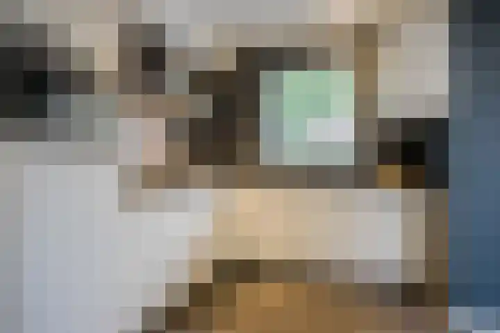 Asselberghsstraat 1 Oostrum thumbnail 16