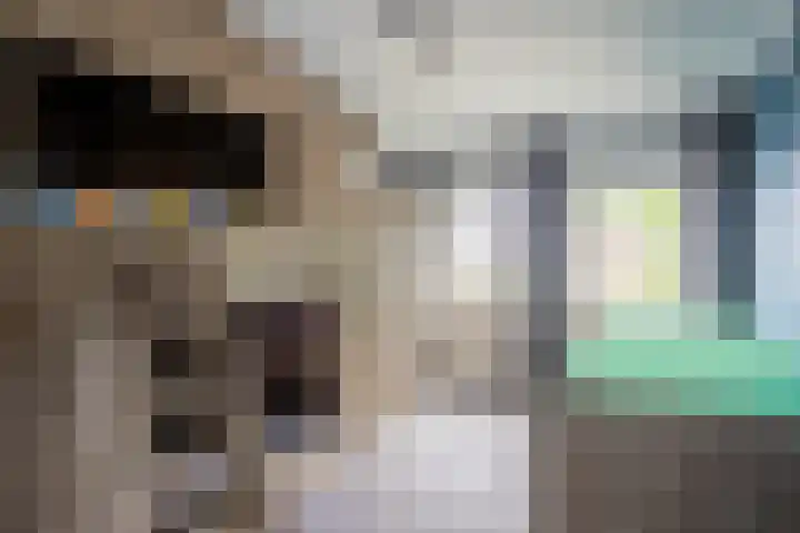 Asselberghsstraat 1 Oostrum thumbnail 25