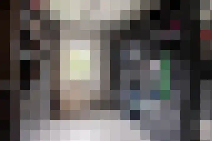 Asselberghsstraat 1 Oostrum thumbnail 26