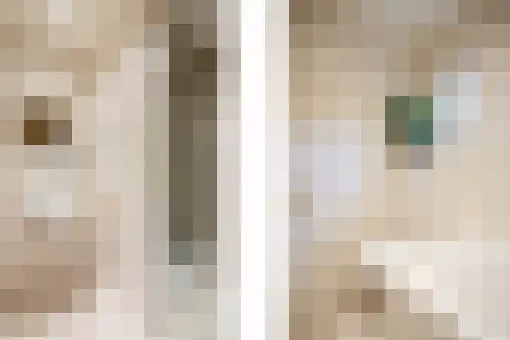 Asselberghsstraat 1 Oostrum thumbnail 29