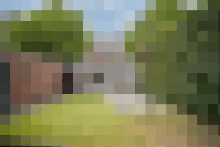 Asselberghsstraat 1 Oostrum thumbnail 37