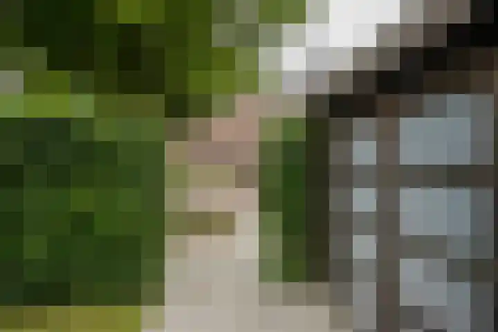 Asselberghsstraat 1 Oostrum thumbnail 38