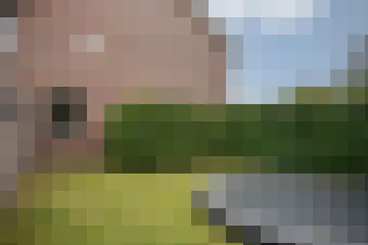 Asselberghsstraat 1 Oostrum thumbnail 40