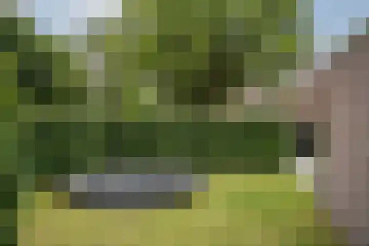 Asselberghsstraat 1 Oostrum thumbnail 41