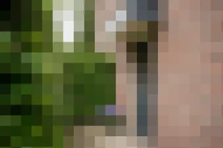 Asselberghsstraat 1 Oostrum thumbnail 42