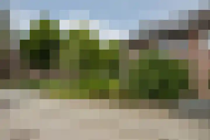 Asselberghsstraat 1 Oostrum thumbnail 43