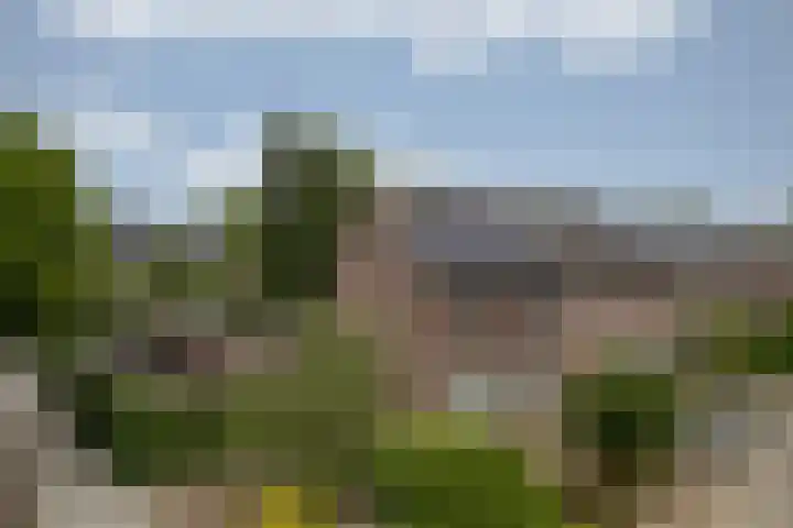 Asselberghsstraat 1 Oostrum thumbnail 45
