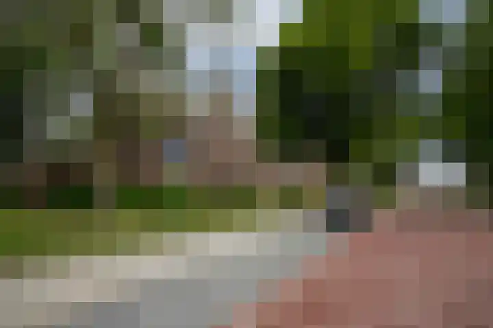 Asselberghsstraat 1 Oostrum thumbnail 47