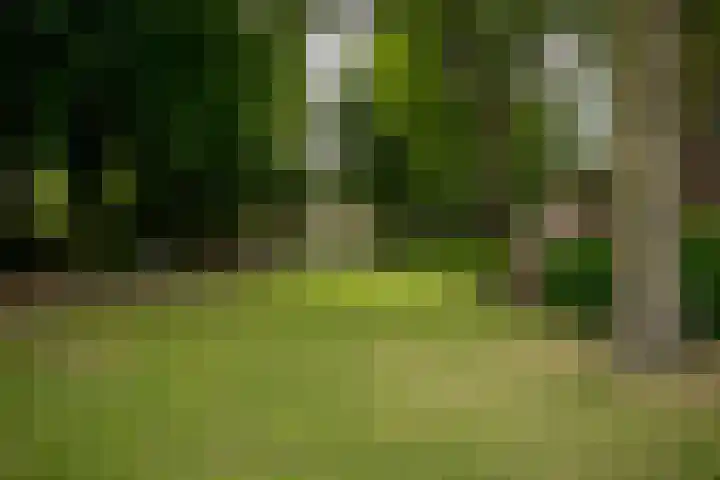 Asselberghsstraat 1 Oostrum thumbnail 48