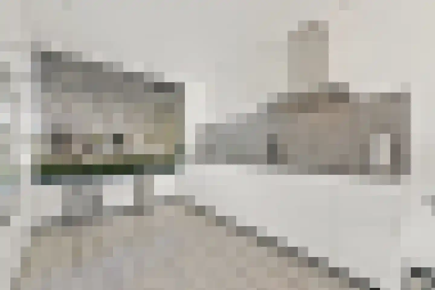 Asselierspad 10 Zoetermeer thumbnail 11