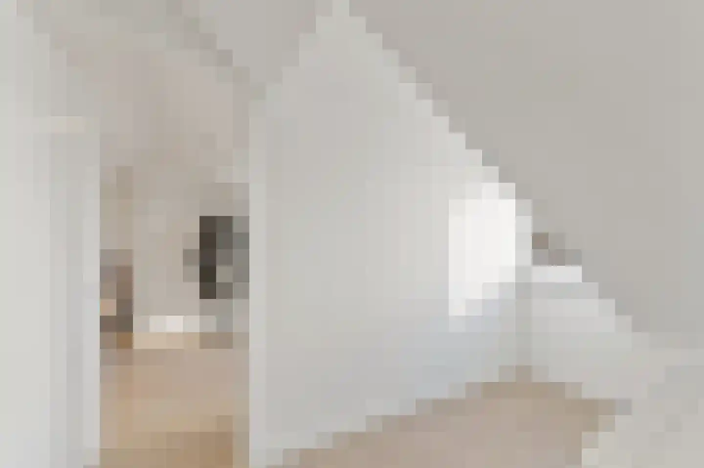 Asselierspad 10 Zoetermeer thumbnail 32