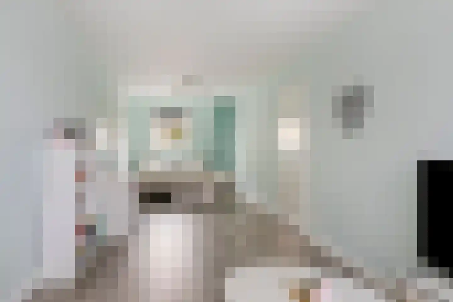 Asselierspad 24 Zoetermeer thumbnail 23