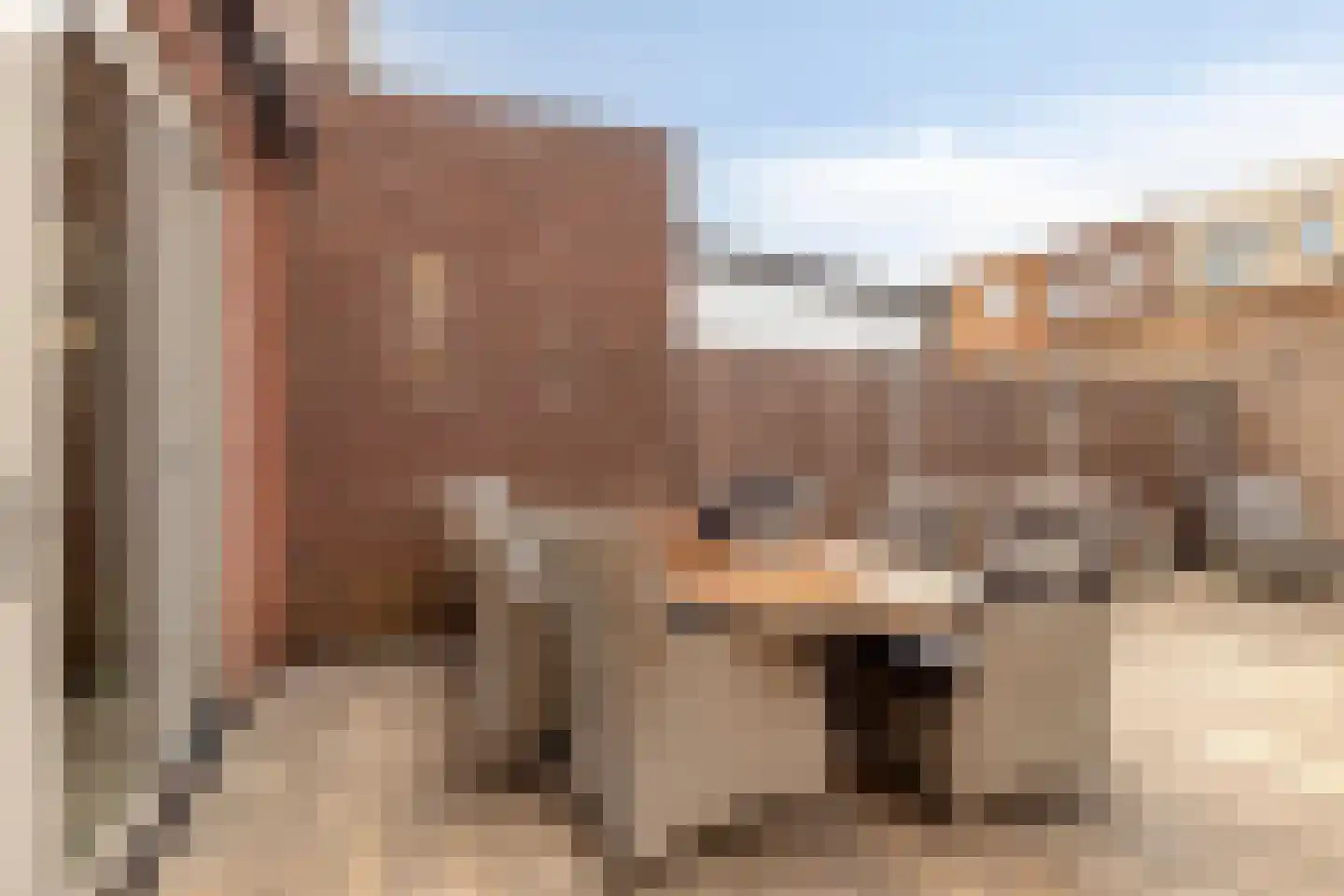 Asselierspad 24 Zoetermeer thumbnail 25