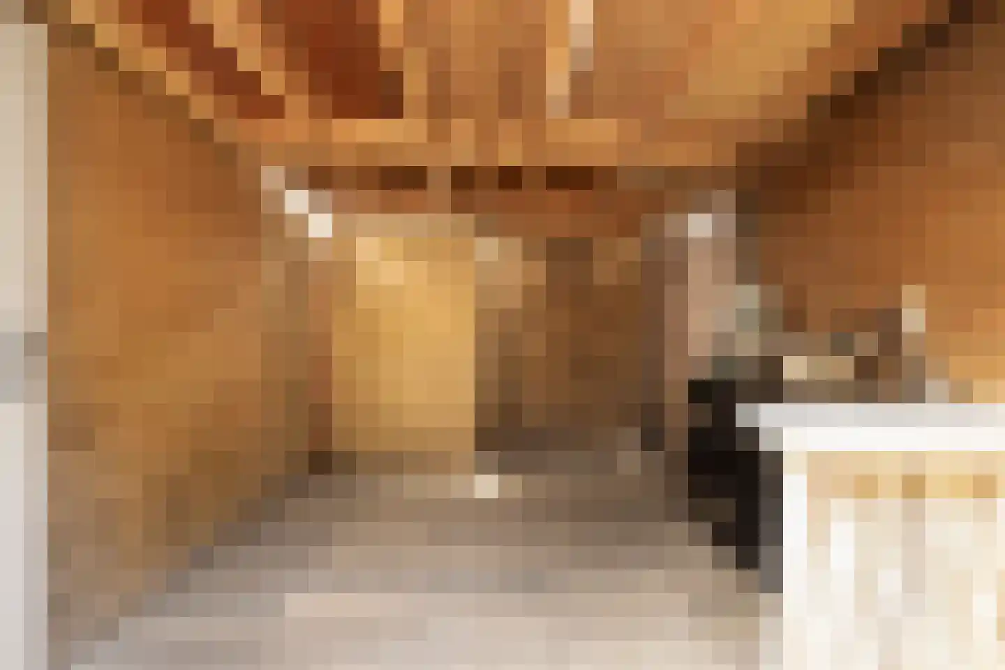 Asselierspad 24 Zoetermeer thumbnail 27