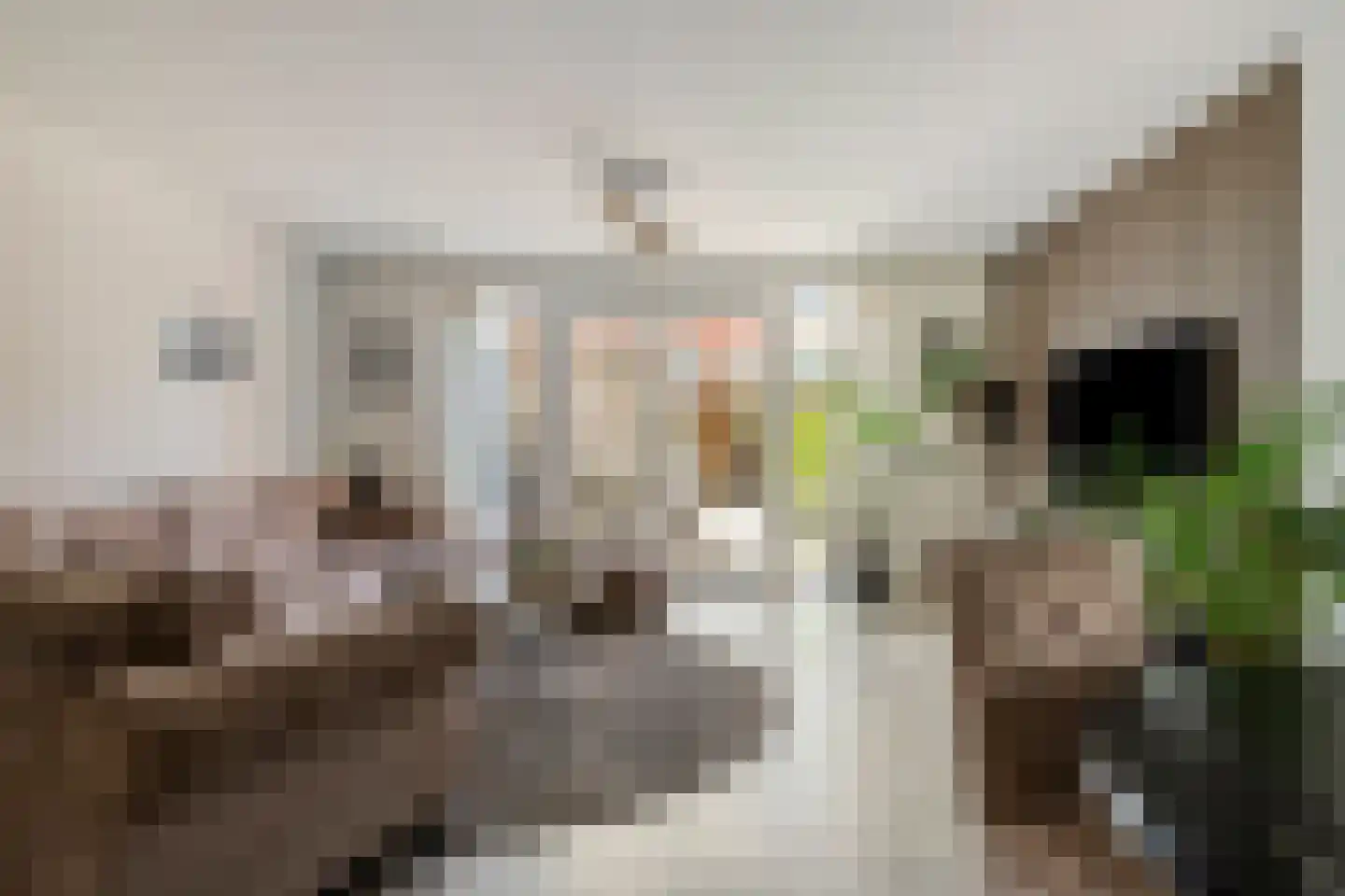 Asselierspad 24 Zoetermeer thumbnail 7