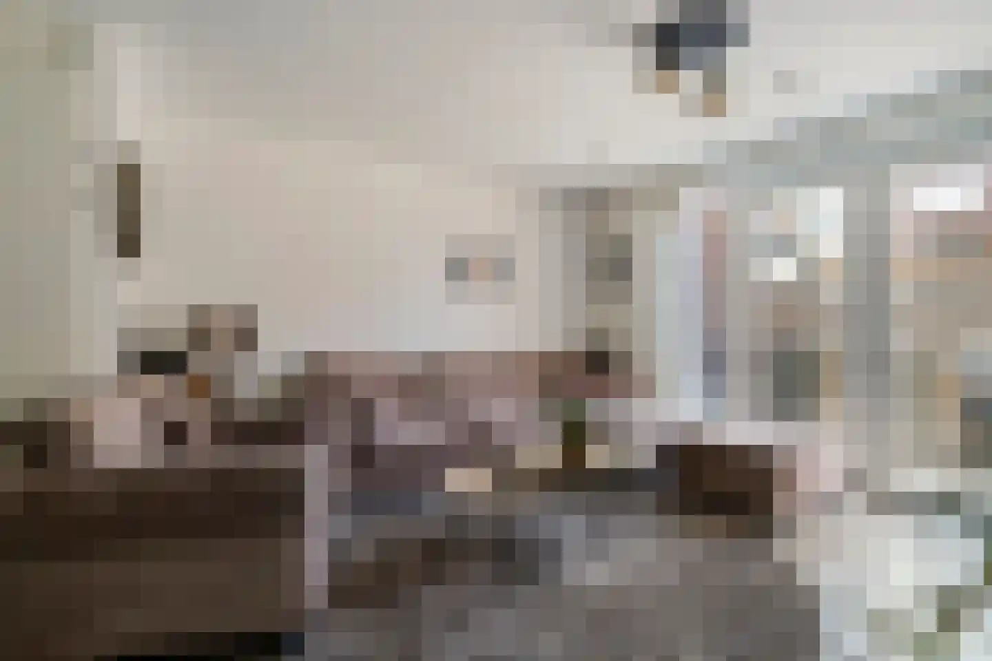 Asselierspad 24 Zoetermeer thumbnail 8