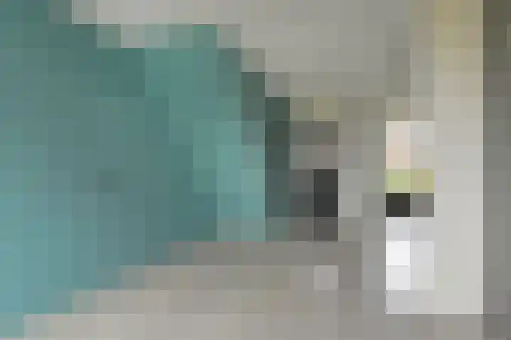 Asselierspad 6 Zoetermeer thumbnail 14