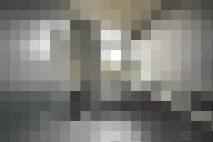 Asselierspad 6 Zoetermeer thumbnail 15