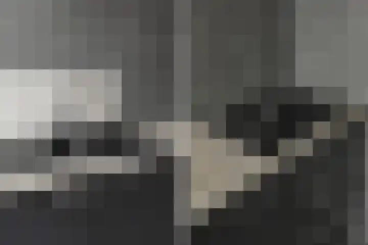 Asselierspad 6 Zoetermeer thumbnail 16