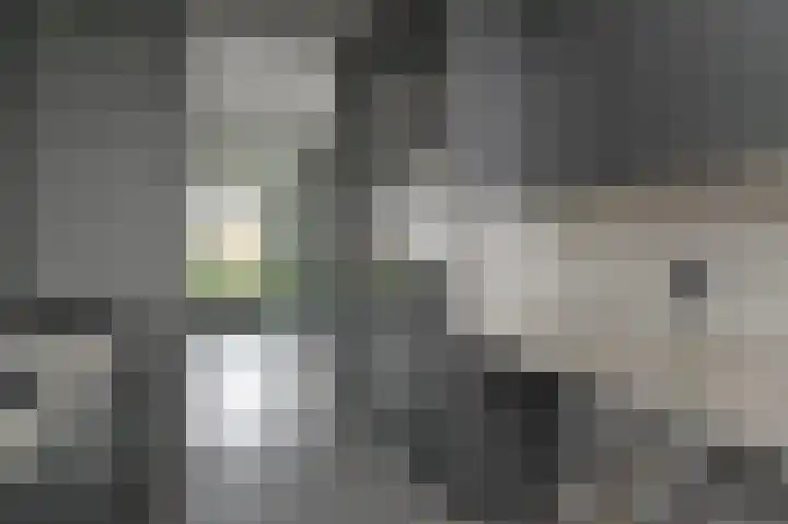 Asselierspad 6 Zoetermeer thumbnail 17