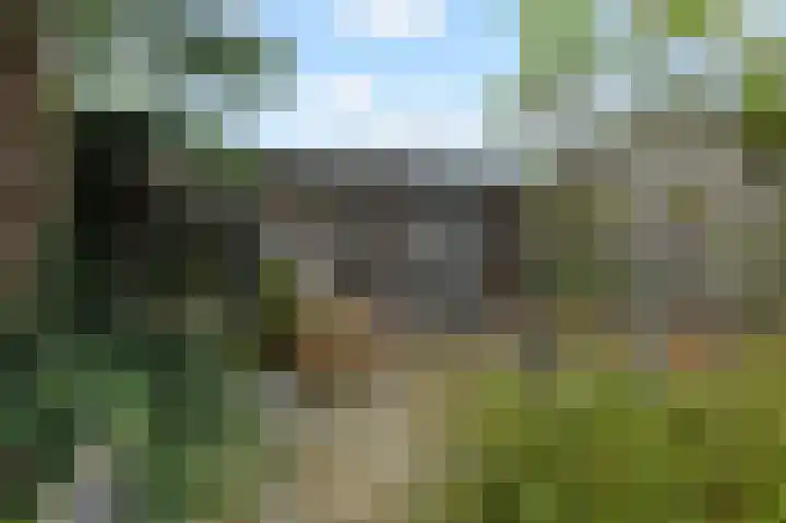 Asselierspad 6 Zoetermeer thumbnail 19