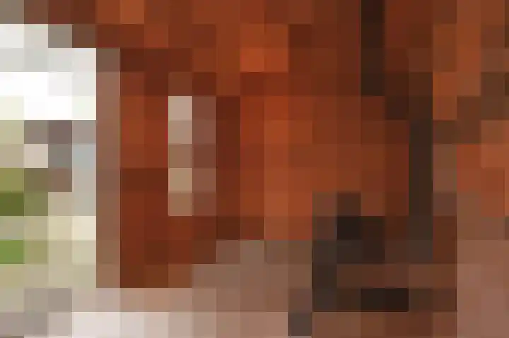 Asselierspad 6 Zoetermeer thumbnail 21