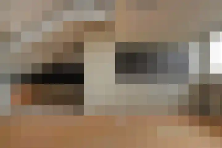 Asselierspad 6 Zoetermeer thumbnail 36