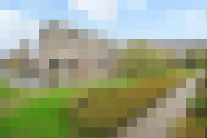 Asselierspad 6 Zoetermeer thumbnail 40