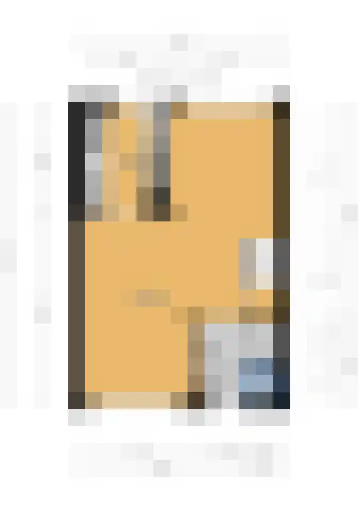 Asselierspad 6 Zoetermeer thumbnail 42