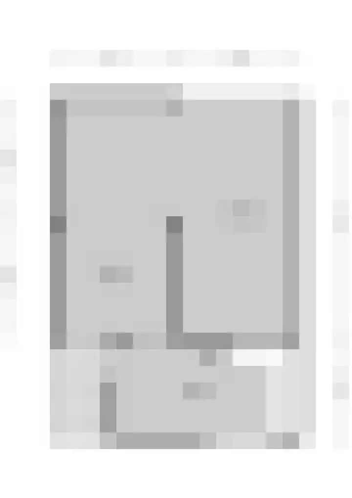 Asselierspad 6 Zoetermeer thumbnail 45