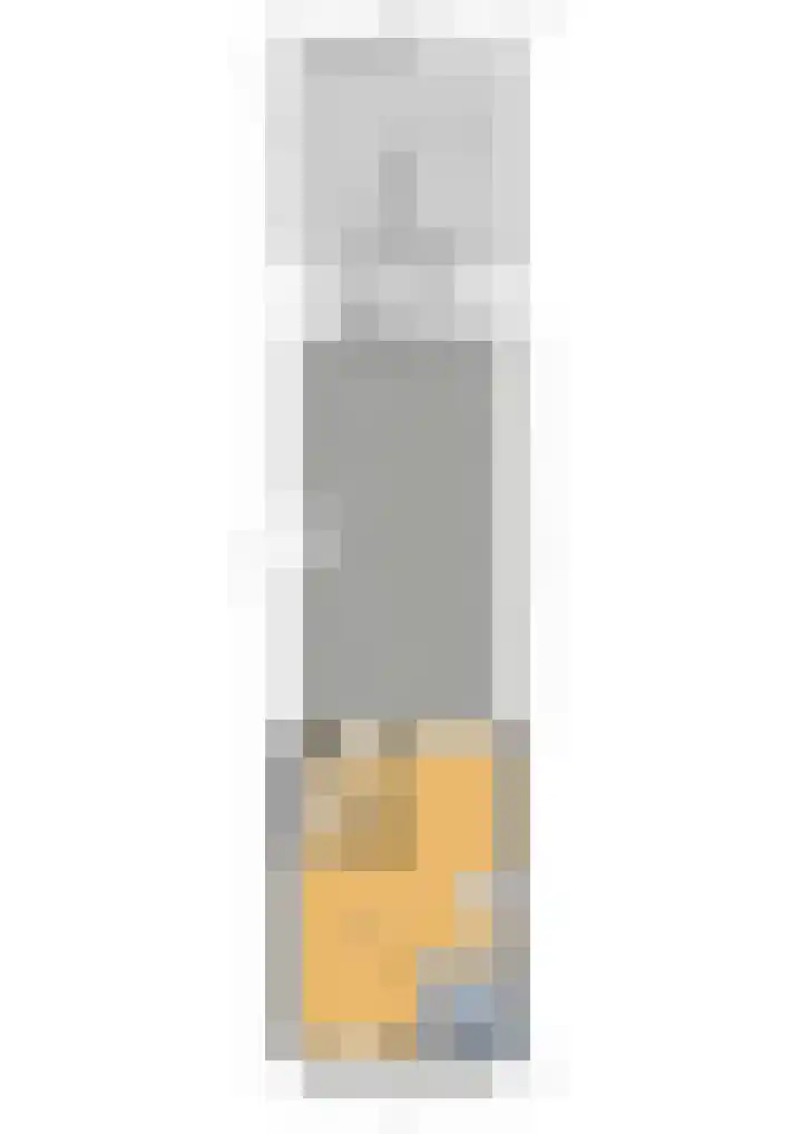 Asselierspad 6 Zoetermeer thumbnail 46